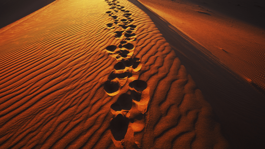 Desert